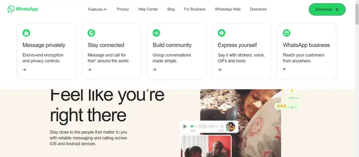 Article pictures