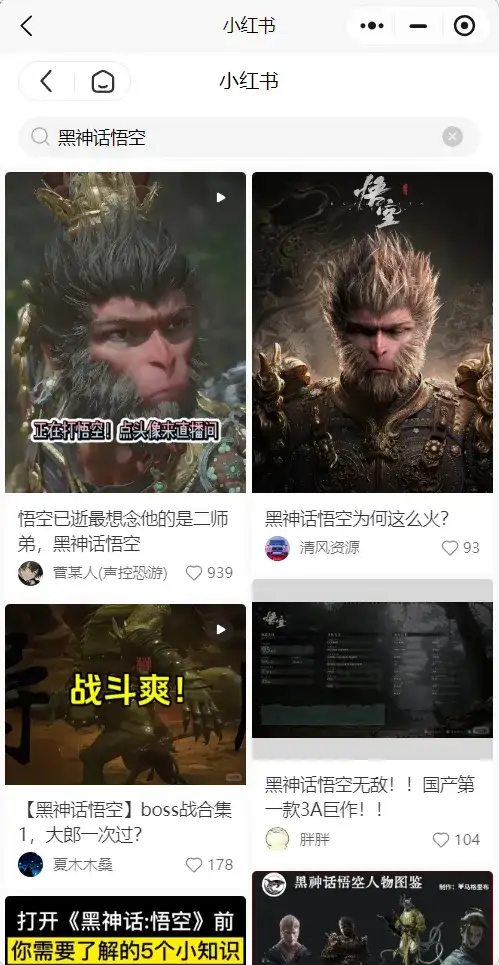 Article pictures